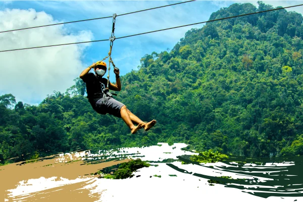 Flying Fox